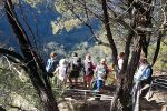 Melba Copland Secondary School Students Enjoy Bushwalking