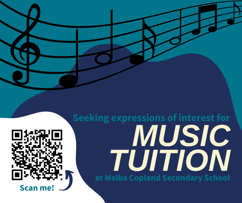 Music Tuition at MCSS